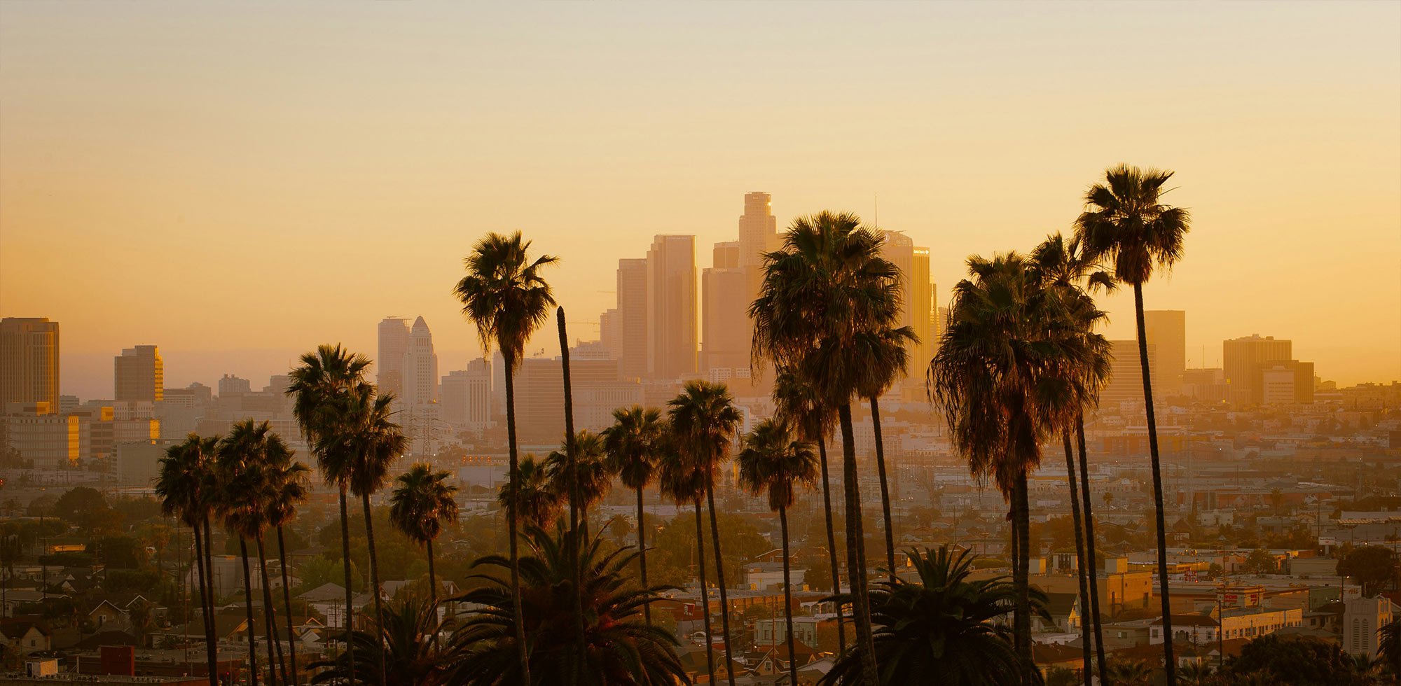 Watch Show in L.A.
